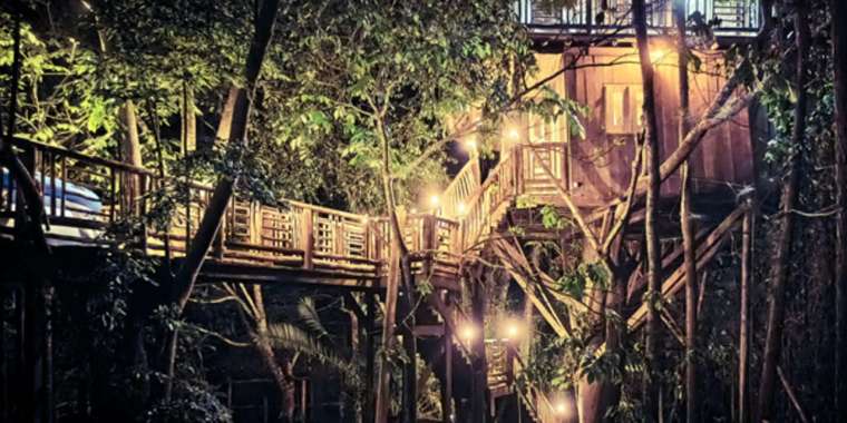 Forest Walks and Nature Exploration